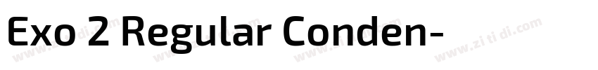 Exo 2 Regular Conden字体转换